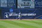 Baseball vs Rowan  Wheaton College Baseball takes on Rowan University in game one of the NCAA D3 College World Series at Veterans Memorial Stadium in Cedar Rapids, Iowa. - Photo By: KEITH NORDSTROM : Wheaton Basball, NCAA, Baseball, World Series
